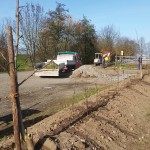 Bepflanzung entlang der Umzäunung