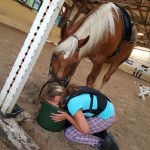 Gustav würde gerne helfen