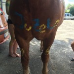 Jugendzeltlager 2016