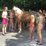 Eine Leinwand auf 4 Hufen